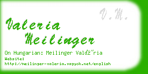 valeria meilinger business card